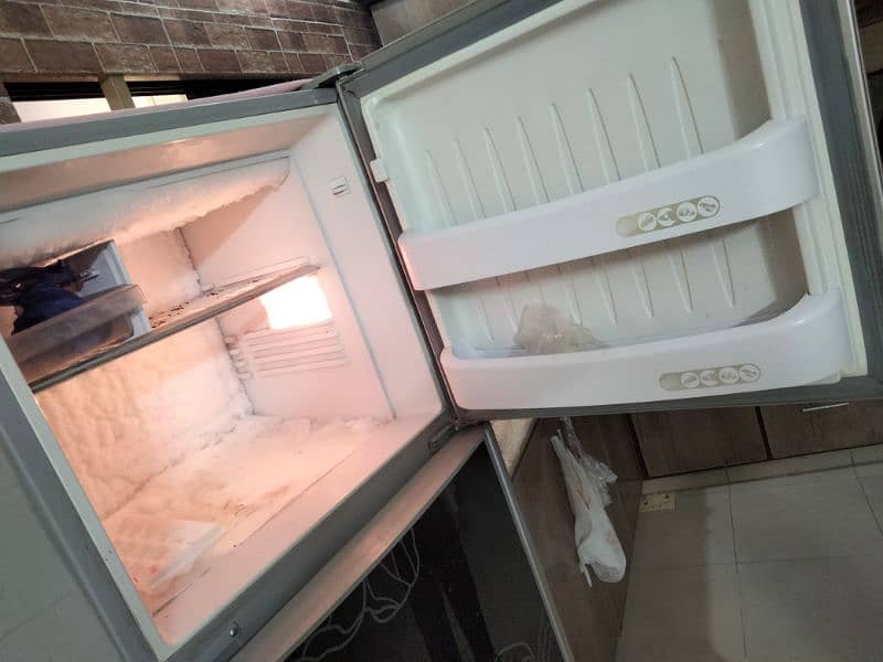 Orient Fridge (Medium) 1