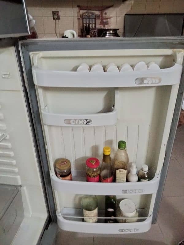 Orient Fridge (Medium) 3