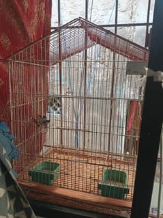 2 cages for green ring neck and raw parrot