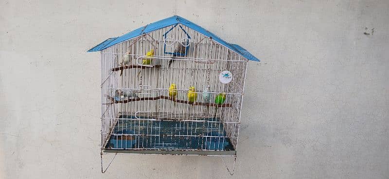 Australian Birds Pairs 3