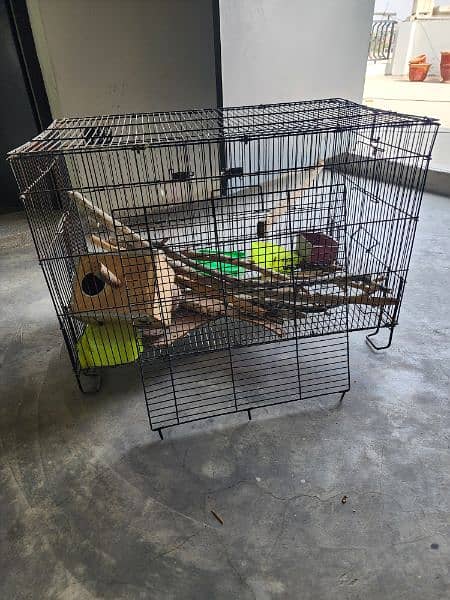 Brand new Folding Breeding Cage 4r sale 8