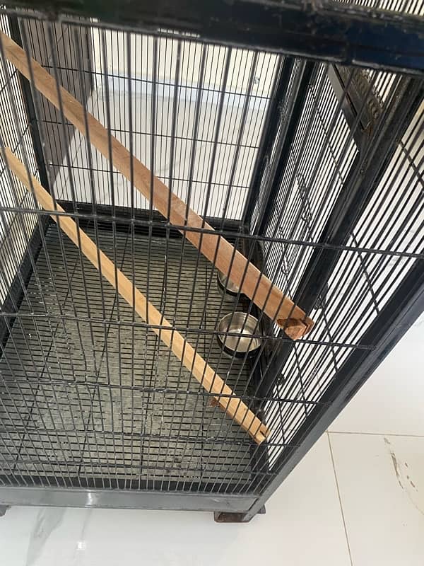 parrot cage beautiful and larg 3