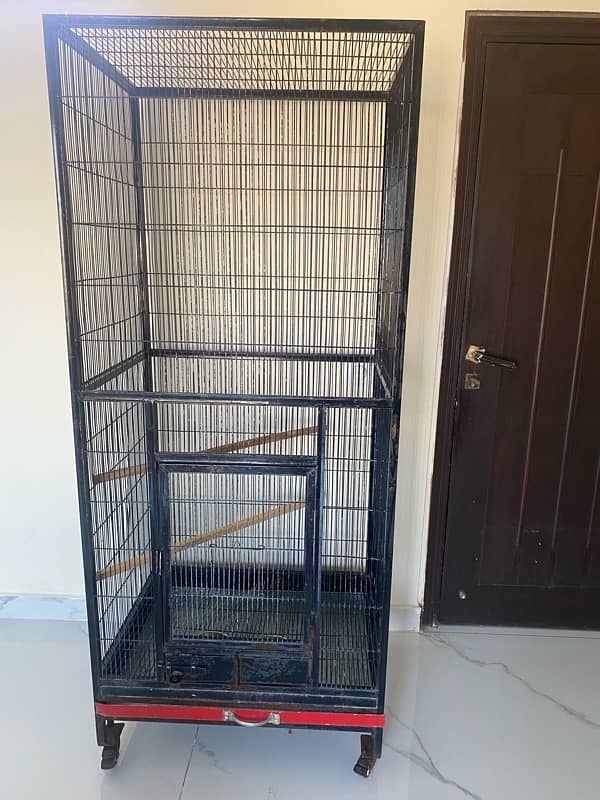 parrot cage beautiful and larg 4