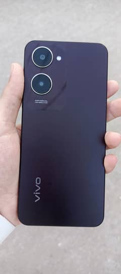 Vivo