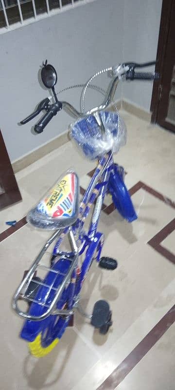 Blue coloured fancy bicycle 4