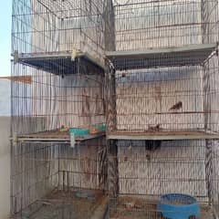 bird used folding cage like new