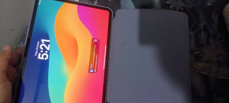 Ipad Pro M4 Case For sell 4