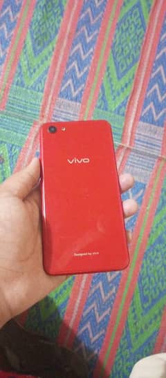 vivo