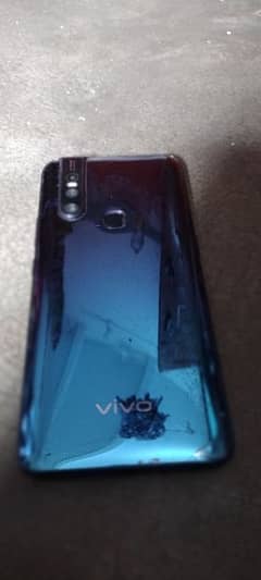 vivo