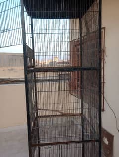 Bird Cage 4 Portion