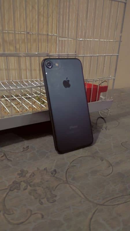 Iphone 7 non PTA 12