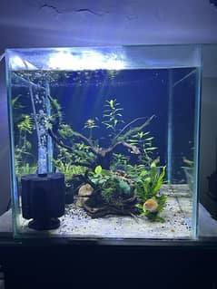 Aquarium(only glass) for sale in perfect condition