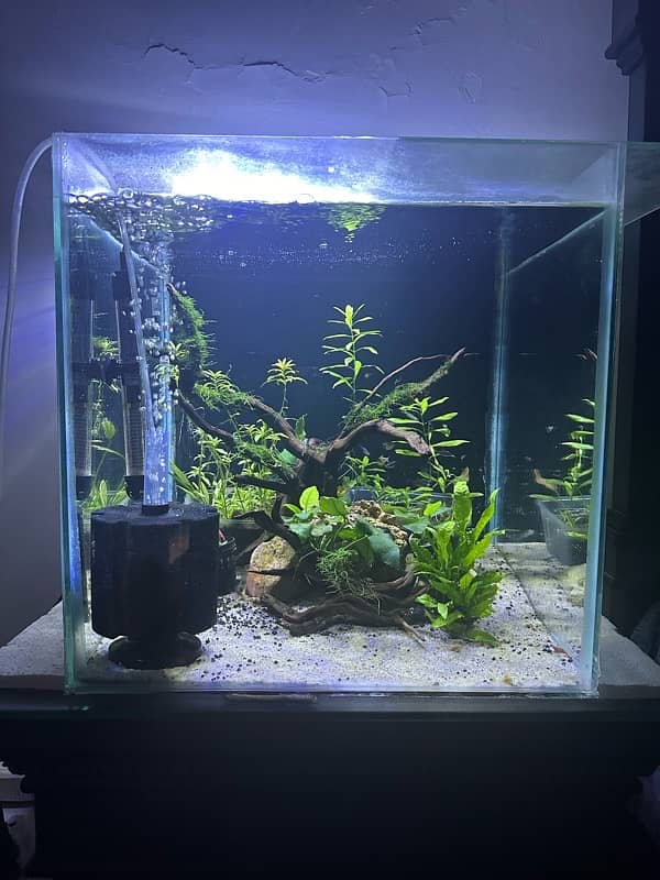 Aquarium(only glass) for sale in perfect condition 1