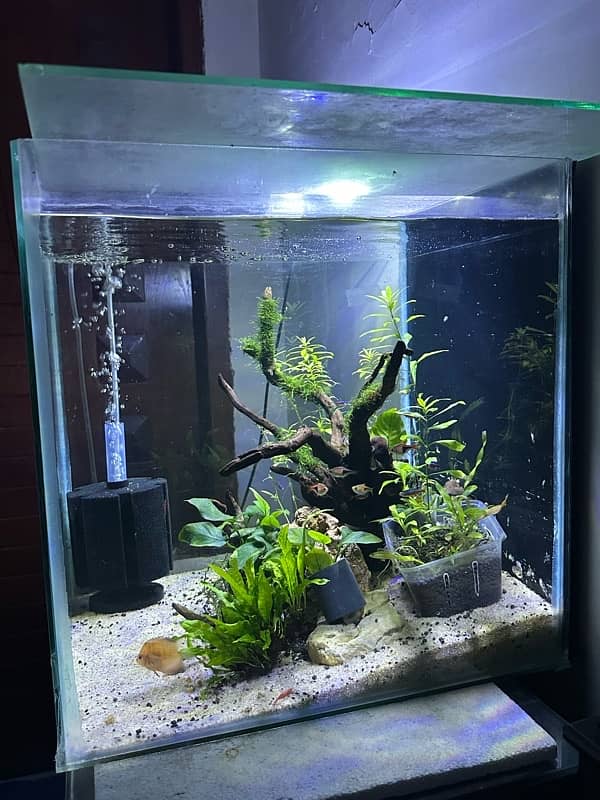 Aquarium(only glass) for sale in perfect condition 2