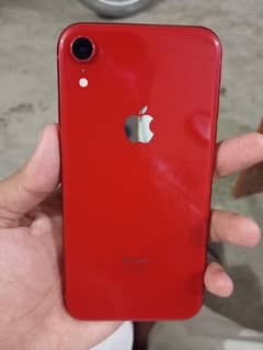 iPhone XR 0