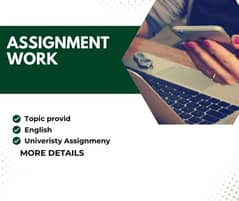 online Assignment work available.