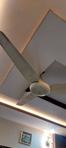 SK ceiling fan 1