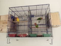 birds cages