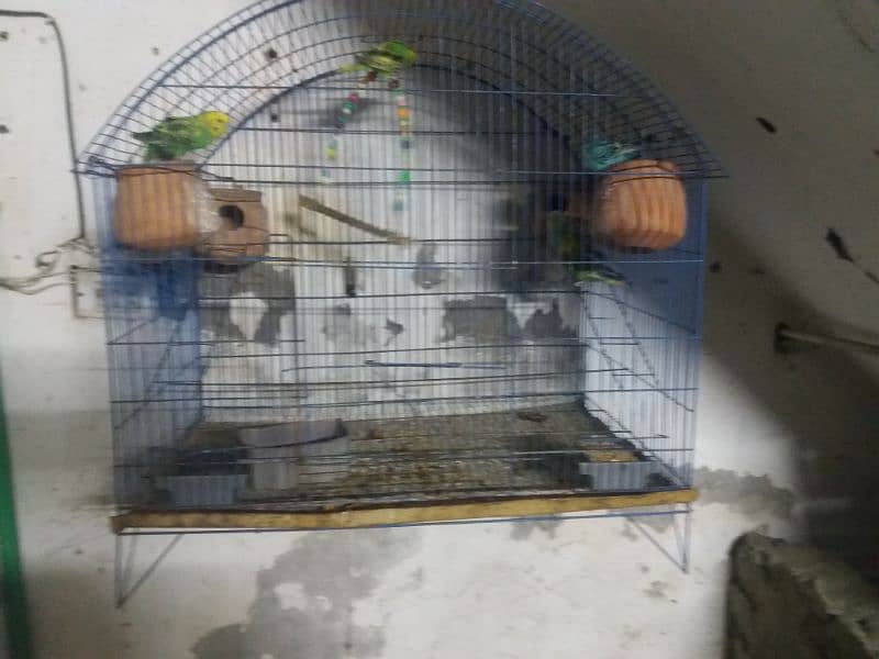 two iron cage new condition 6