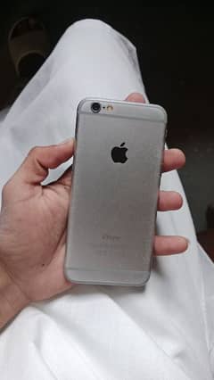 iPhone 6