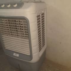 royal company air cooler 6 month warranty 03069850091