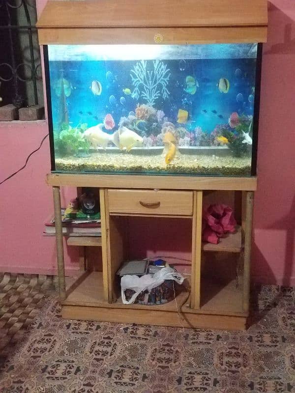 aquarium for sell ( read add ) 2