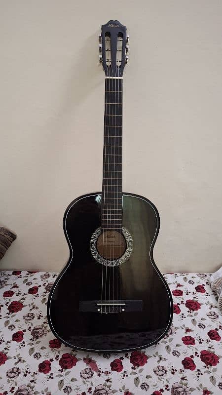 Brand New guitar - with all accessories 0