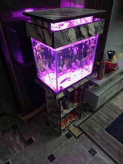 Aquarium/fish tank for sale 0