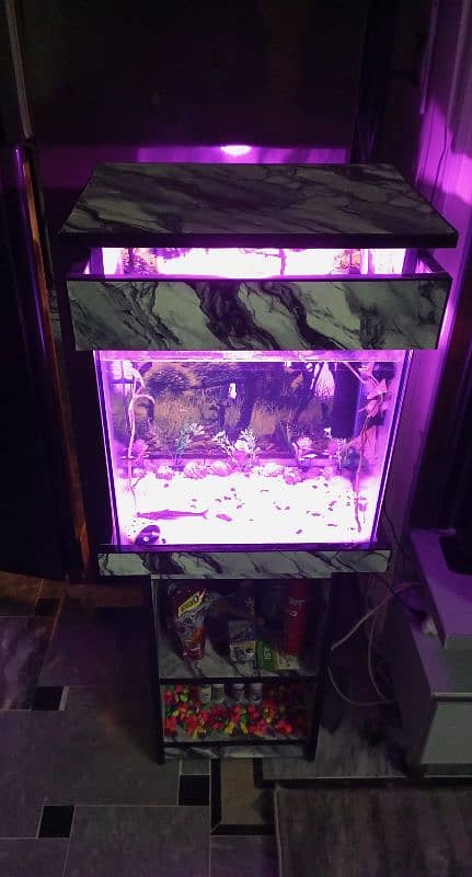 Aquarium/fish tank for sale 1