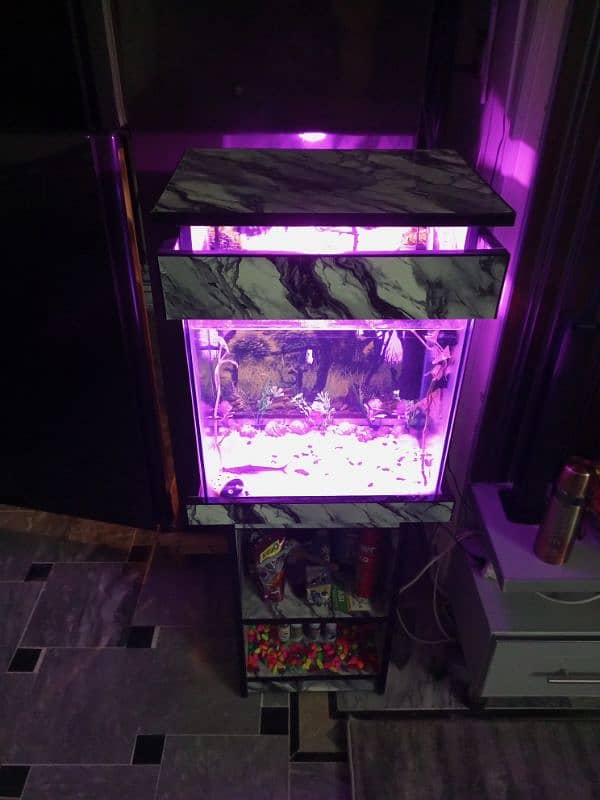 Aquarium/fish tank for sale 3