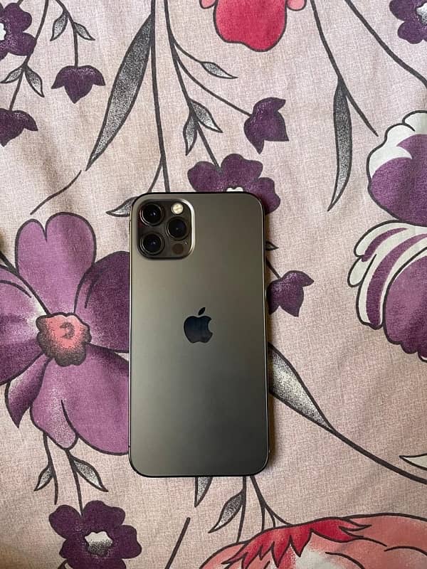 iphone 12 pro non pta condition 10/10 urgent sale text only whatsapp 1