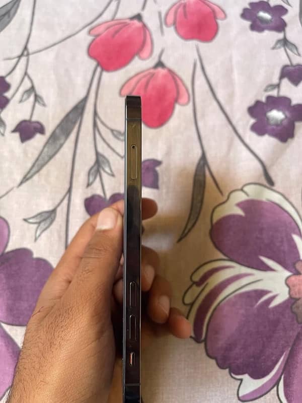 iphone 12 pro non pta condition 10/10 urgent sale text only whatsapp 3