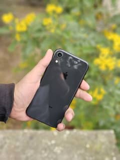 iphone xr 64gb