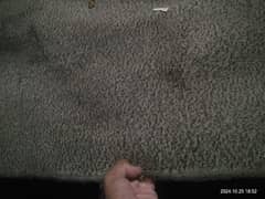 Carpet 12 x 17 foot urgent sale