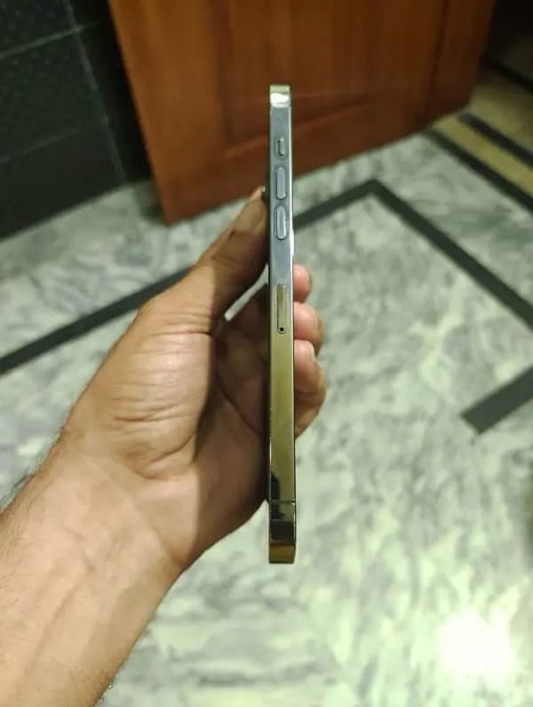 iPhone 12 pro Max 256GB Factory Unlock 3