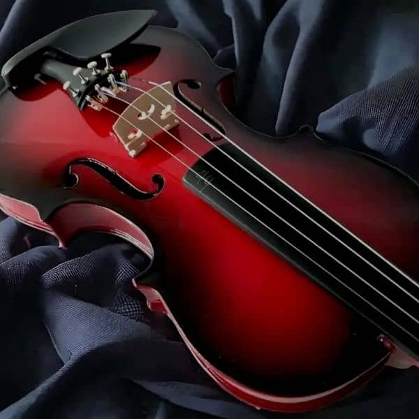 violins price in lahore, professional USA made violins, violin shop 3