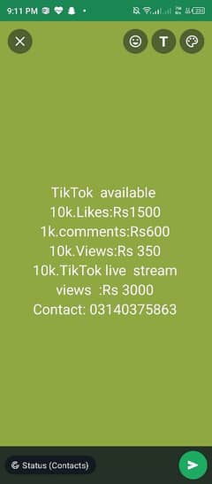 TikTok server available 0