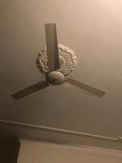 Celing Fan for sale Urgent sale