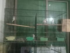 wire cage foldable for sale