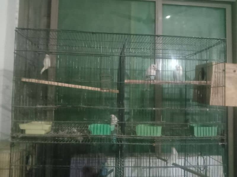 wire cage foldable for sale 0