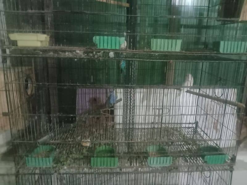 wire cage foldable for sale 1