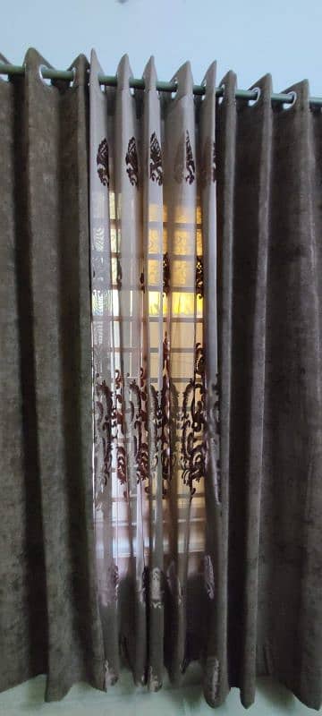 3 Curtains, 2 Imported Velvet, One Palachhi 1