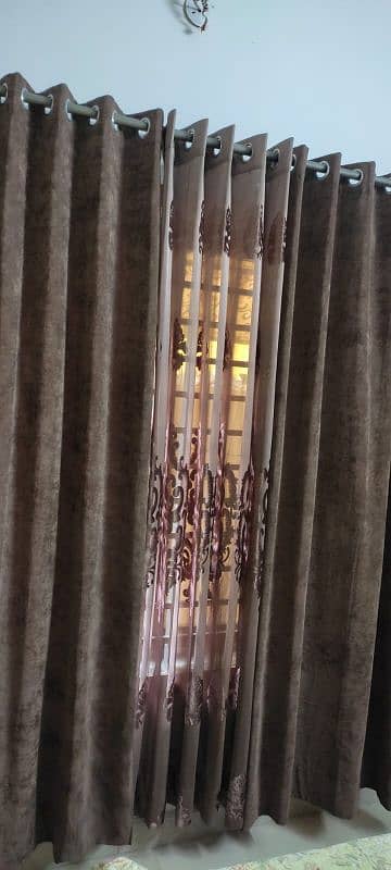 3 Curtains, 2 Imported Velvet, One Palachhi 4