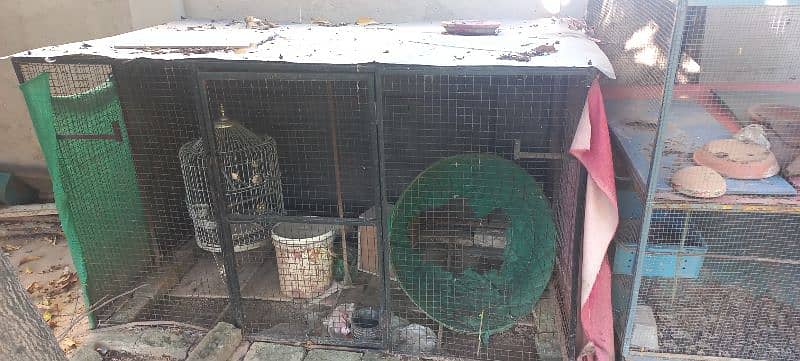 3 x big cages for sale 3