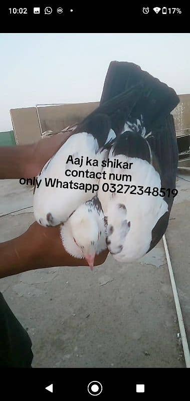 female h Lara kr Mari h demand 2400 1