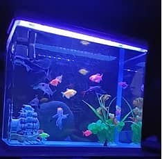 AQUARIAM 0322 4576776