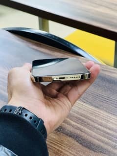 iphone 12 pro max 128gb pta approved