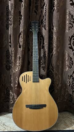 sqoe sq-j new professional guitar