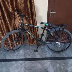 Giant Model Cycle For Sale