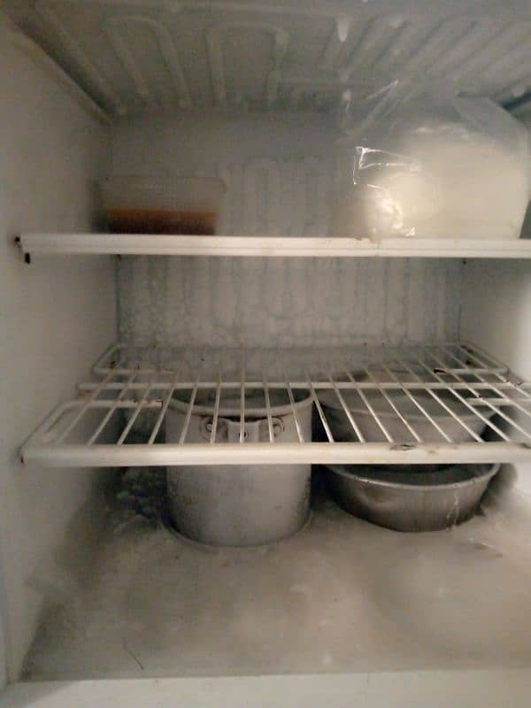 PEL Fridge for Sale (Sirf Compressor ka masla he) 0